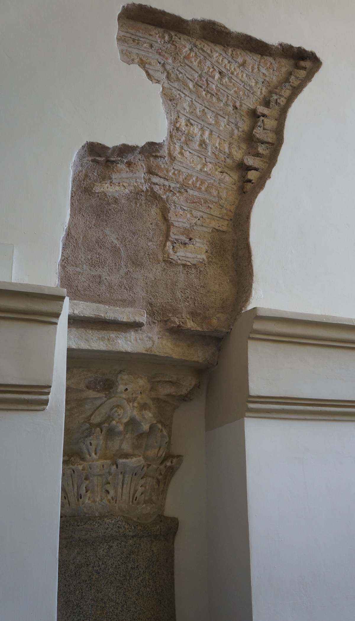 Abb. 432-MicheleeMagno_027.jpg